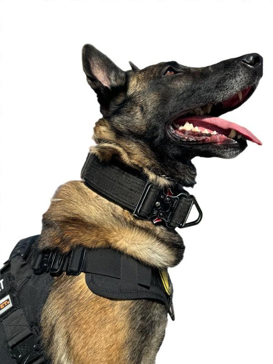 Tactical Dog Collar with Heavy-Duty Handle – Adjustable Military-Grade Nylon Training Collar with Metal Buckle for Medium & Large Dogs