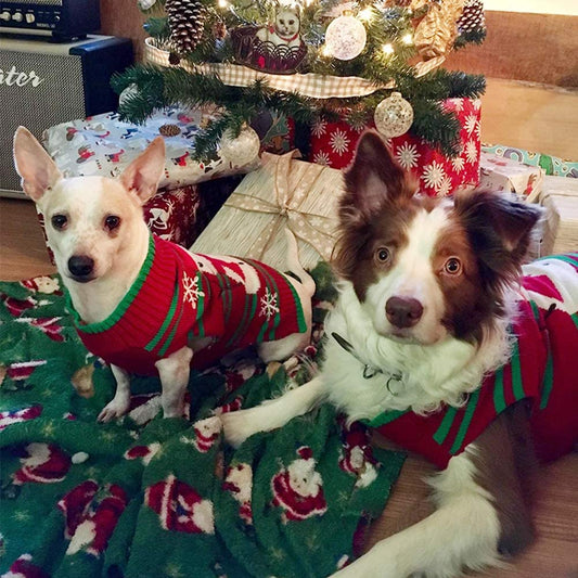 Dog Christmas Sweater – Snowman Holiday Knit Outfit for Dogs & Cats
