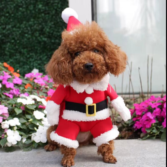 Christmas Pet Costume – Funny Santa Outfit for Cats & Dogs | Warm Winter Clothes for Chihuahua, Pug, Yorkshire & Small Breeds