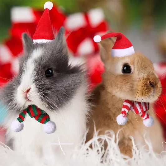 Small Pet Christmas & Halloween Costume – Cute Hat & Scarf Set for Hamsters, Guinea Pigs, Rabbits, Chinchillas & Bunnies | Holiday Cosplay Accessories