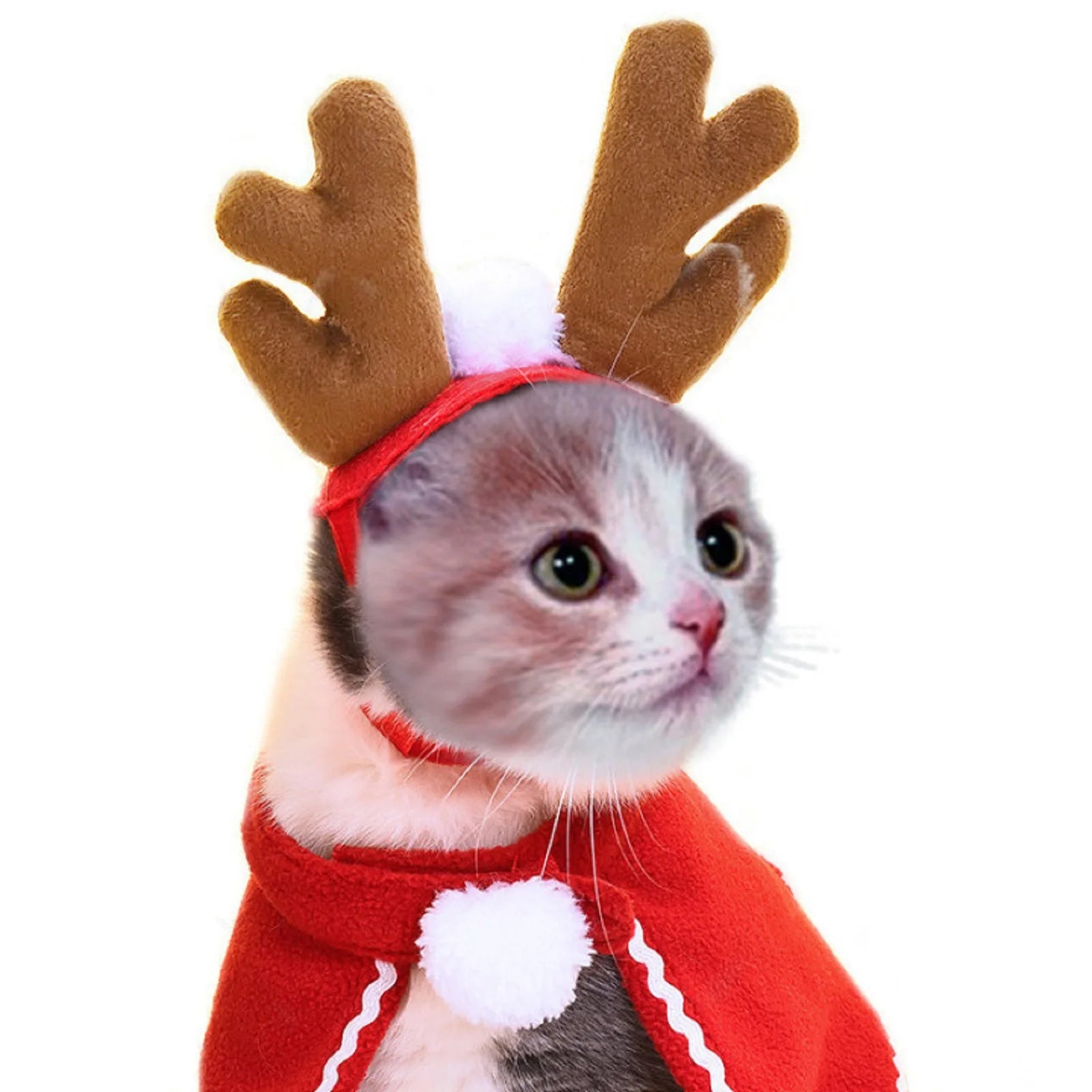 Christmas & Halloween Pet Costume – Festive Santa Hat and Scarf for Cats and Dogs, Winter Cosplay Outfit for Small Pets, Ideal for Parties and Photos