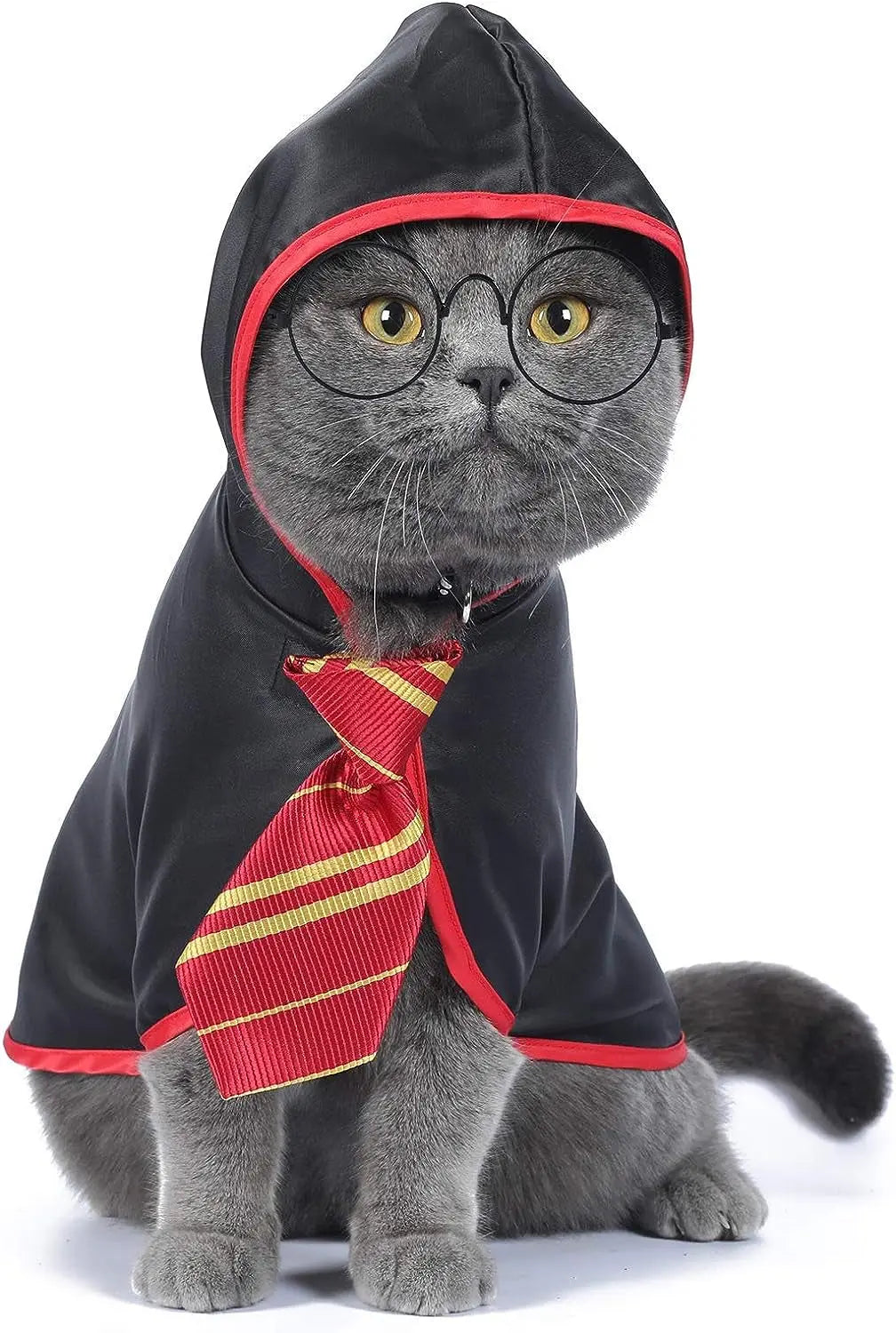 Pet Halloween Costume – Anime Wizard Outfit for Cats, Kittens & Small Dogs