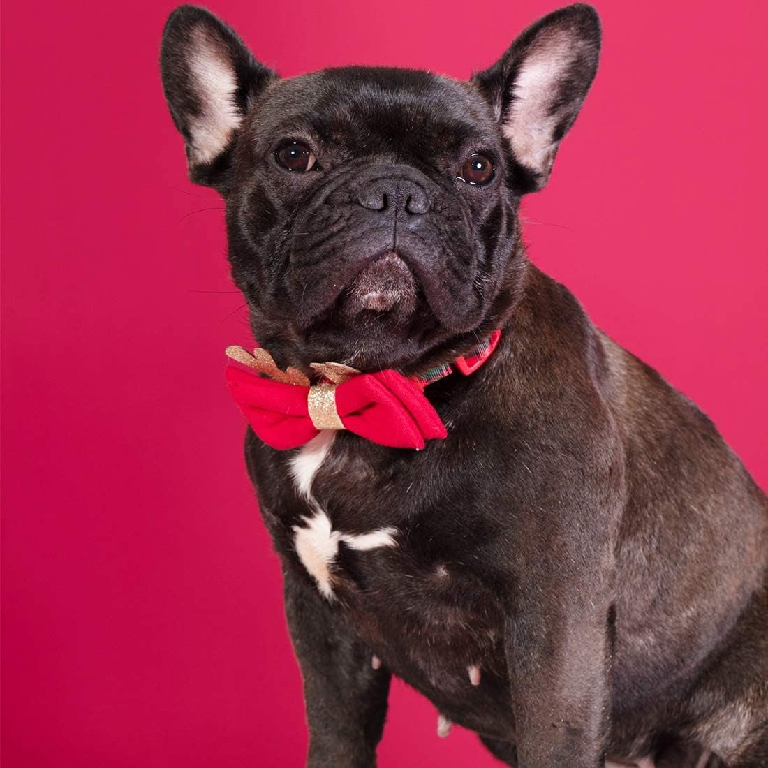 Christmas Dog Collar – Plaid Holiday Collar with Glitter Reindeer Antlers & Bowtie, Soft & Comfy Festive Accessory for Large Dogs