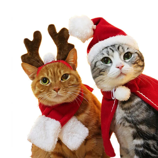 Christmas & Halloween Pet Costume – Festive Santa Hat and Scarf for Cats and Dogs, Winter Cosplay Outfit for Small Pets, Ideal for Parties and Photos
