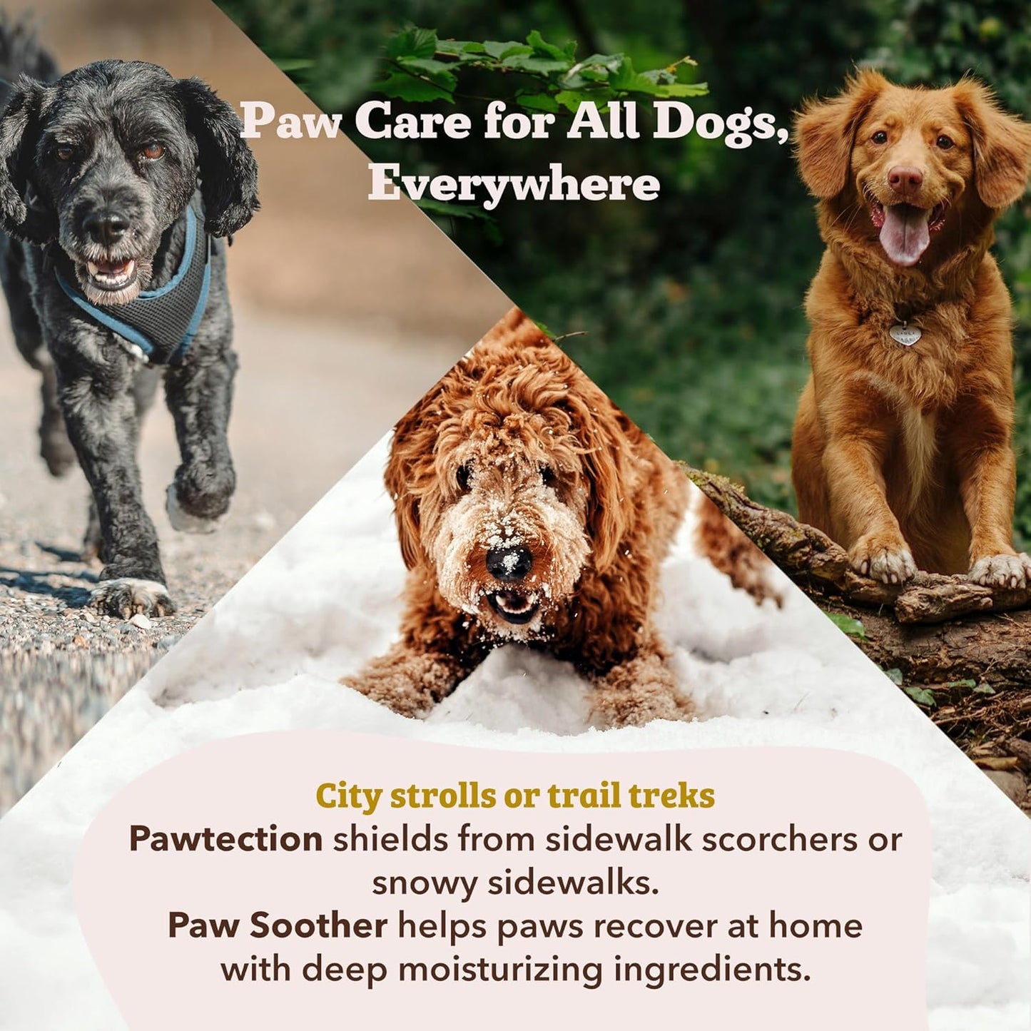 Dog Paw Balm – Moisturizing Paw Protector Stick for Dry, Cracked Pads, Weather Protection & Itch Relief