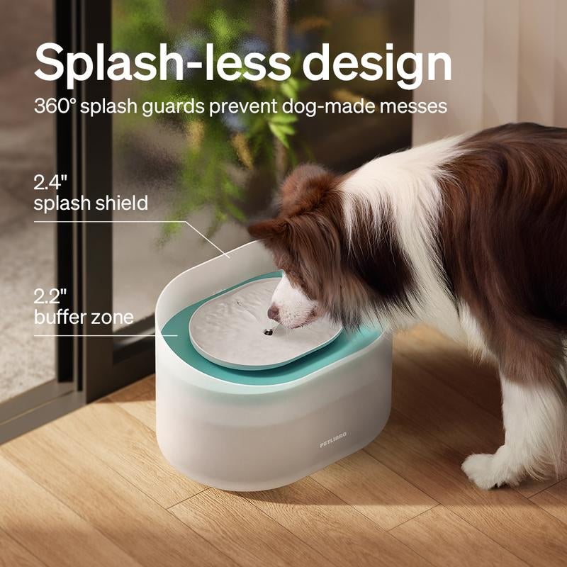 Dog Water Fountain – 2.1 Gallon Automatic Pet Dispenser for Medium & Large Dogs, Anti-Splash Design, Ultra-Quiet Pump, Easy-to-Clean Drinking Fountain