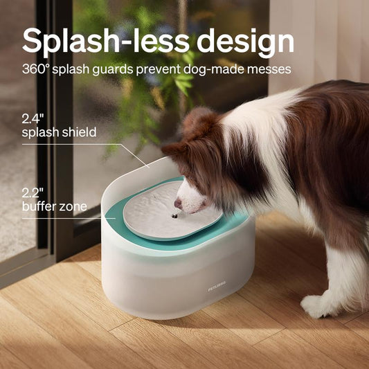 Dog Water Fountain – 2.1 Gallon Automatic Pet Dispenser for Medium & Large Dogs, Anti-Splash Design, Ultra-Quiet Pump, Easy-to-Clean Drinking Fountain