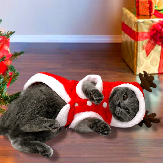 Christmas Pet Hoodie – Santa Costume for Cats & Small Dogs | Warm Winter Outfit for Kittens, Puppies & Holiday Dress-Up