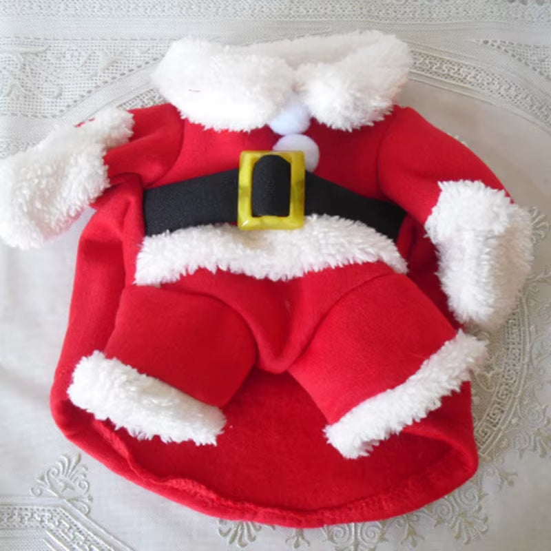 Christmas Pet Costume โ Funny Santa Outfit for Cats & Dogs | Warm Winter Clothes for Chihuahua, Pug, Yorkshire & Small Breeds