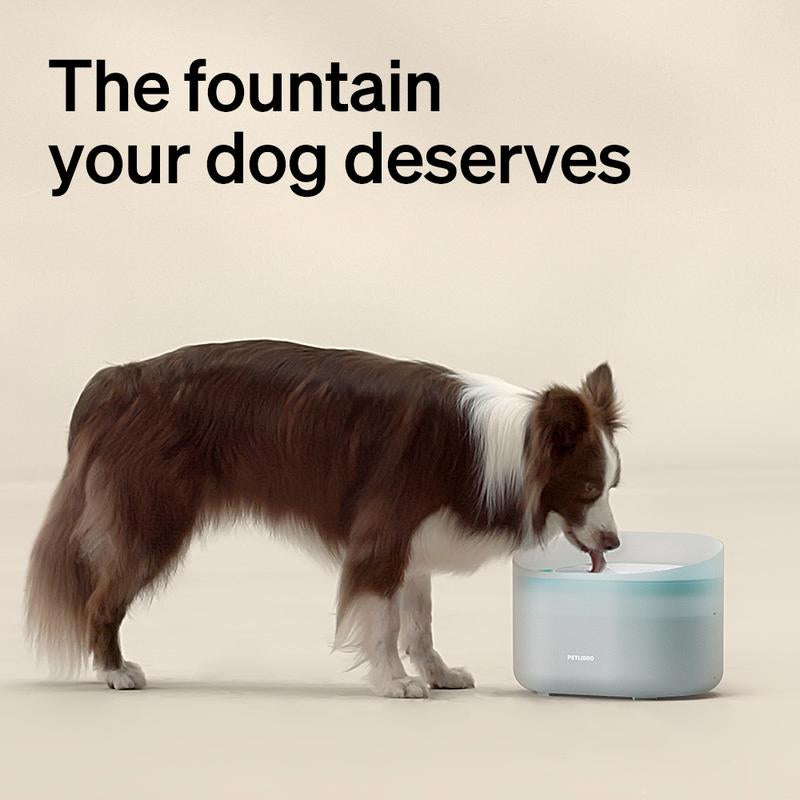Dog Water Fountain – 2.1 Gallon Automatic Pet Dispenser for Medium & Large Dogs, Anti-Splash Design, Ultra-Quiet Pump, Easy-to-Clean Drinking Fountain