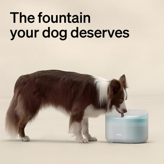 Dog Water Fountain – 2.1 Gallon Automatic Pet Dispenser for Medium & Large Dogs, Anti-Splash Design, Ultra-Quiet Pump, Easy-to-Clean Drinking Fountain