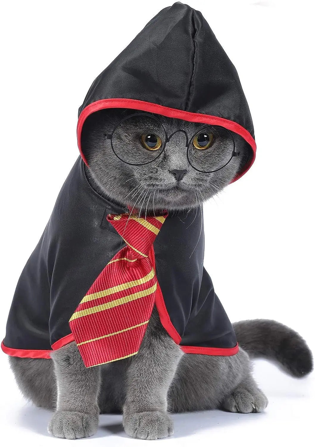 Pet Halloween Costume – Anime Wizard Outfit for Cats, Kittens & Small Dogs