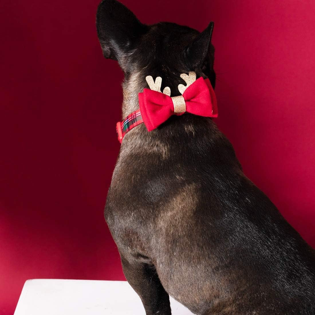 Christmas Dog Collar – Plaid Holiday Collar with Glitter Reindeer Antlers & Bowtie, Soft & Comfy Festive Accessory for Large Dogs