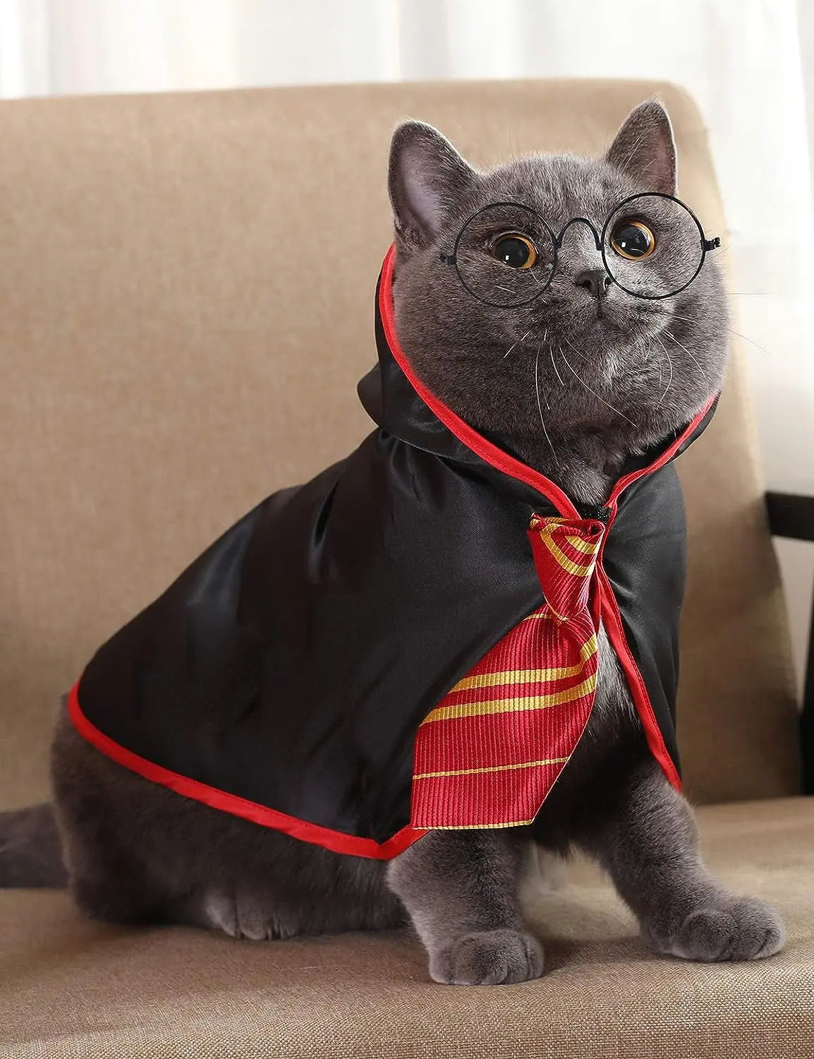 Pet Halloween Costume – Anime Wizard Outfit for Cats, Kittens & Small Dogs