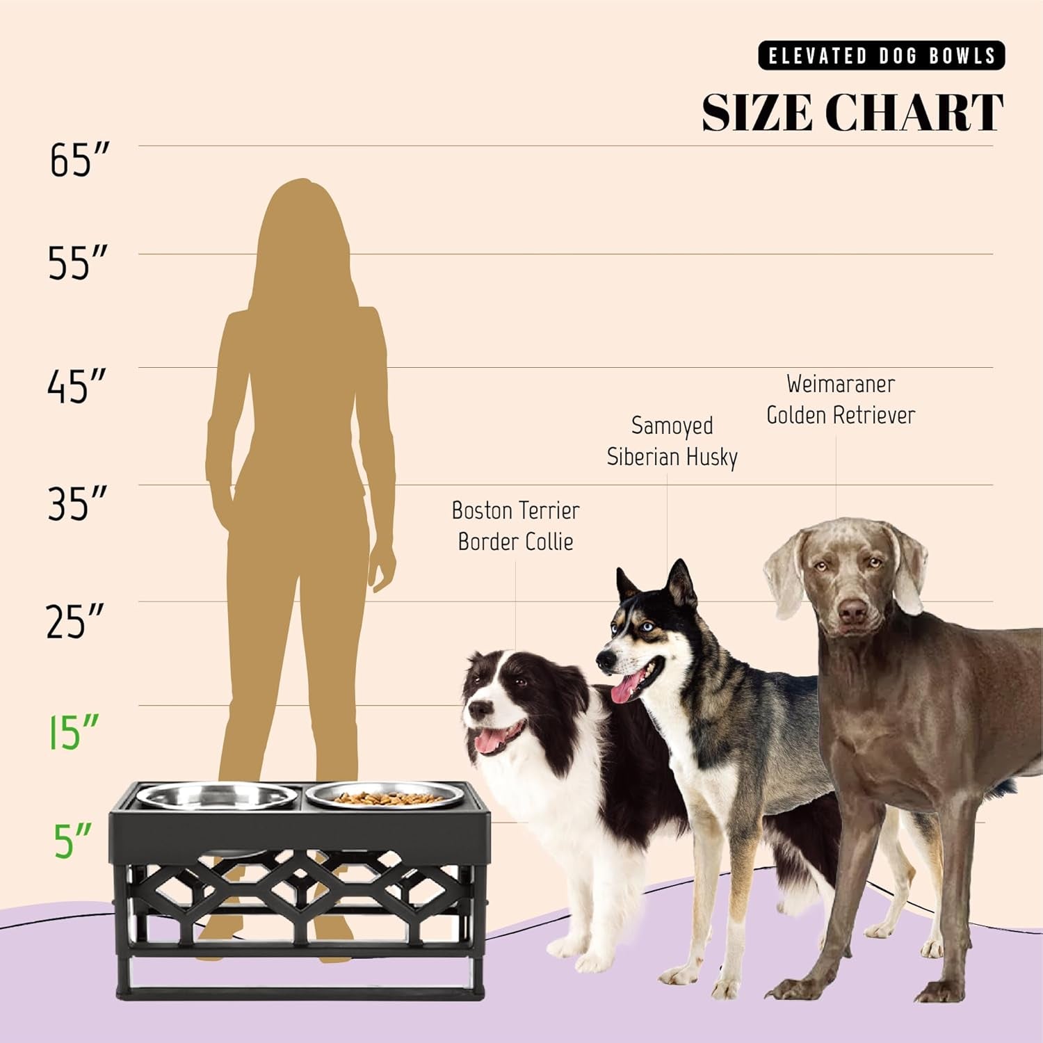Elevated Dog Bowls – 4-Height Adjustable Raised Stand with 2 Stainless Steel Food & Water Bowls, Anti-Slip Feeding Station for Medium & Large Dogs