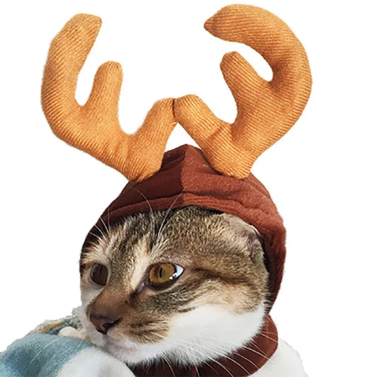 Christmas & Halloween Pet Costume – Festive Santa Hat and Scarf for Cats and Dogs, Winter Cosplay Outfit for Small Pets, Ideal for Parties and Photos
