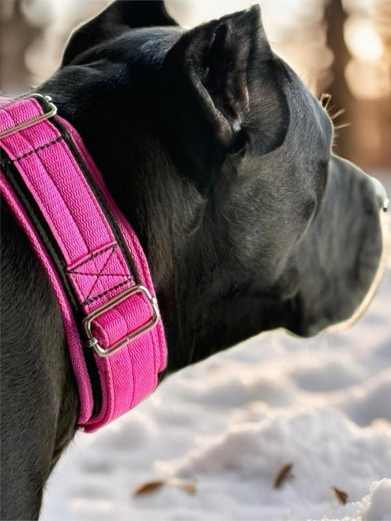 Tactical Dog Collar with Heavy-Duty Handle – Adjustable Military-Grade Nylon Training Collar with Metal Buckle for Medium & Large Dogs