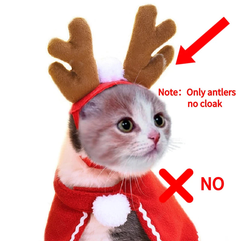 Christmas & Halloween Pet Costume – Festive Santa Hat and Scarf for Cats and Dogs, Winter Cosplay Outfit for Small Pets, Ideal for Parties and Photos