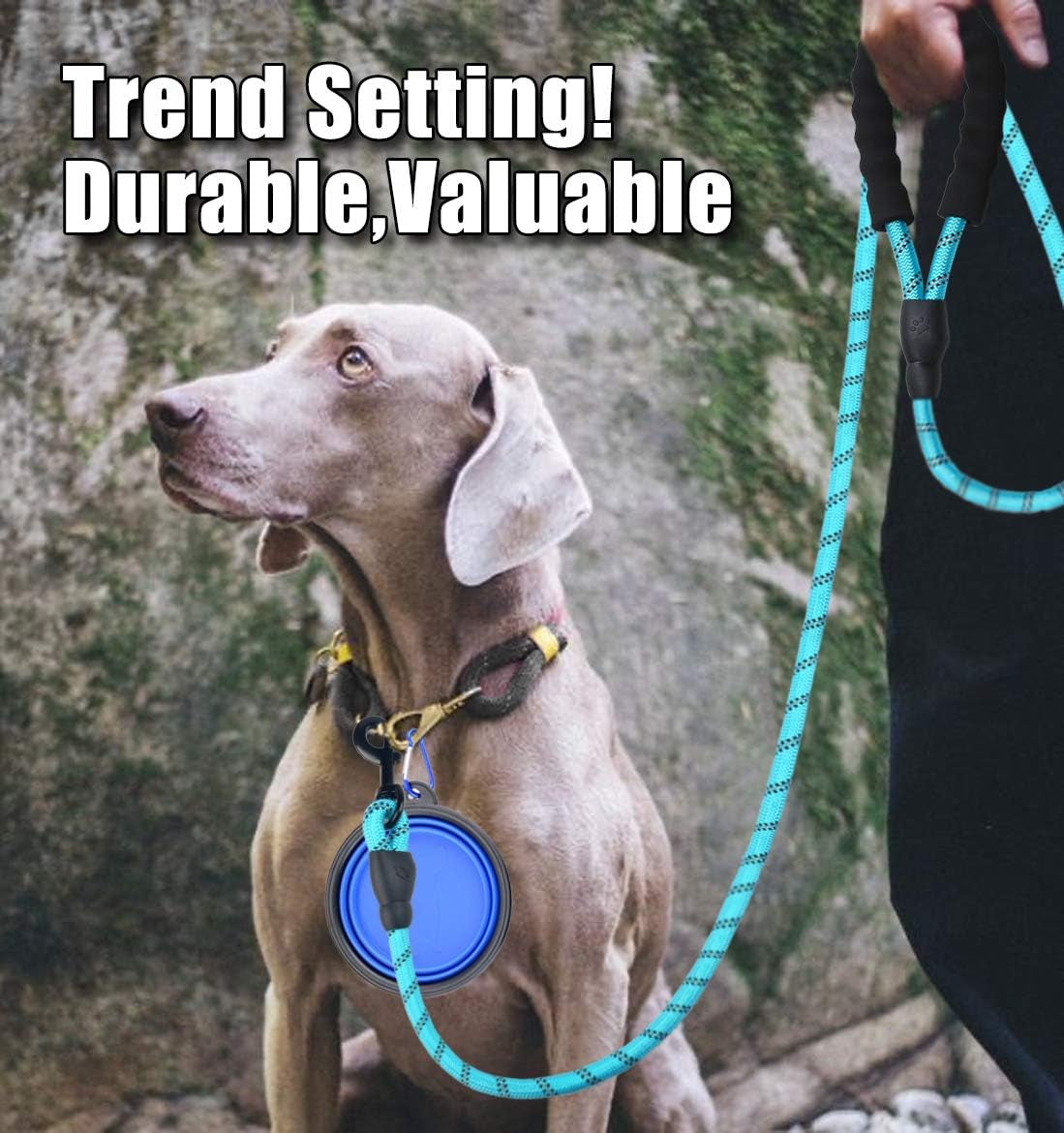 10FT Heavy-Duty Nylon Dog Rope Leash – Reflective Training Leash with Padded Handle, Collapsible Bowl & Waste Bag Holder for Medium & Large Dogs