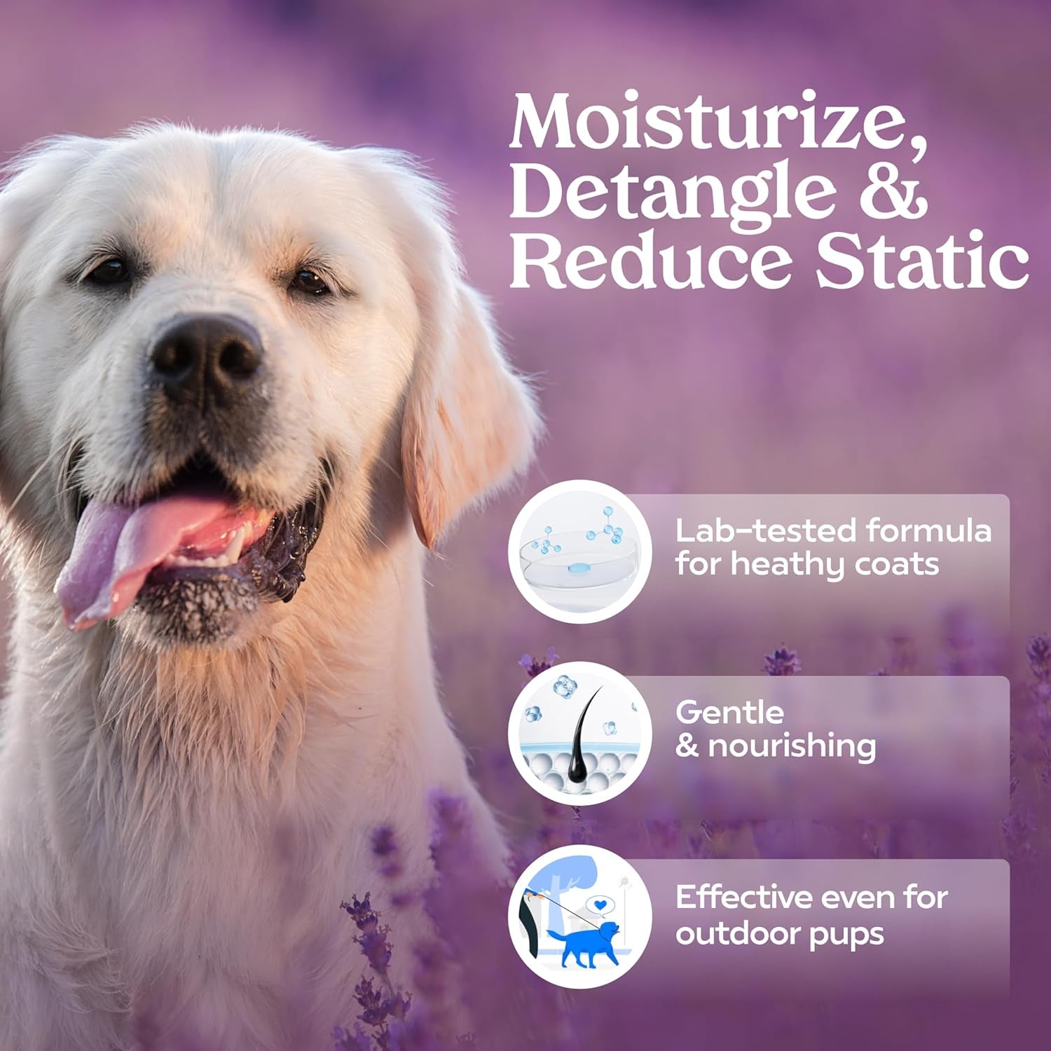 PAWFUME Dog Detangler Grooming Spray – Royal Lavender Scent | Hypoallergenic, Alcohol-Free, Moisturizing & Detangling Spray for Dogs | Long-Lasting Freshness & Coat Care