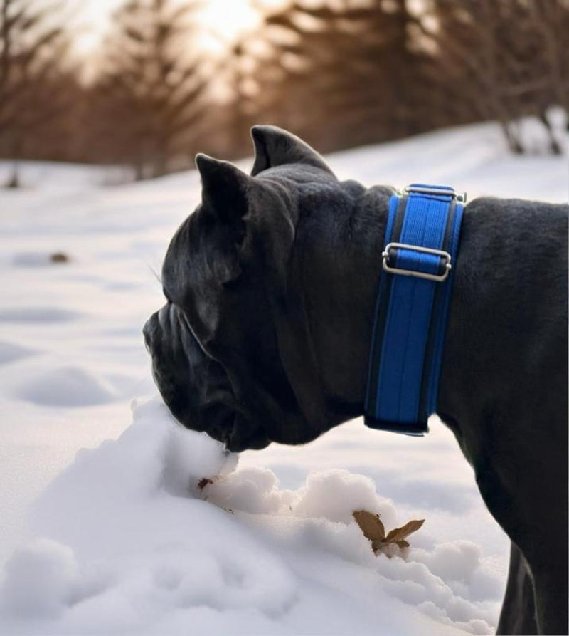 Tactical Dog Collar with Heavy-Duty Handle – Adjustable Military-Grade Nylon Training Collar with Metal Buckle for Medium & Large Dogs
