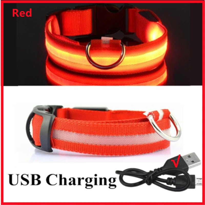 LED Glowing Dog Collar – USB Rechargeable or Battery powered, Adjustable Flashing Safety Collar for Night Walks