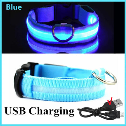 LED Glowing Dog Collar – USB Rechargeable or Battery powered, Adjustable Flashing Safety Collar for Night Walks