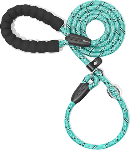 Durable Slip Lead Dog Leash with Padded Handle & Reflective Threads – No-Pull Training Leash for Dogs (3/8" x 6 FT)