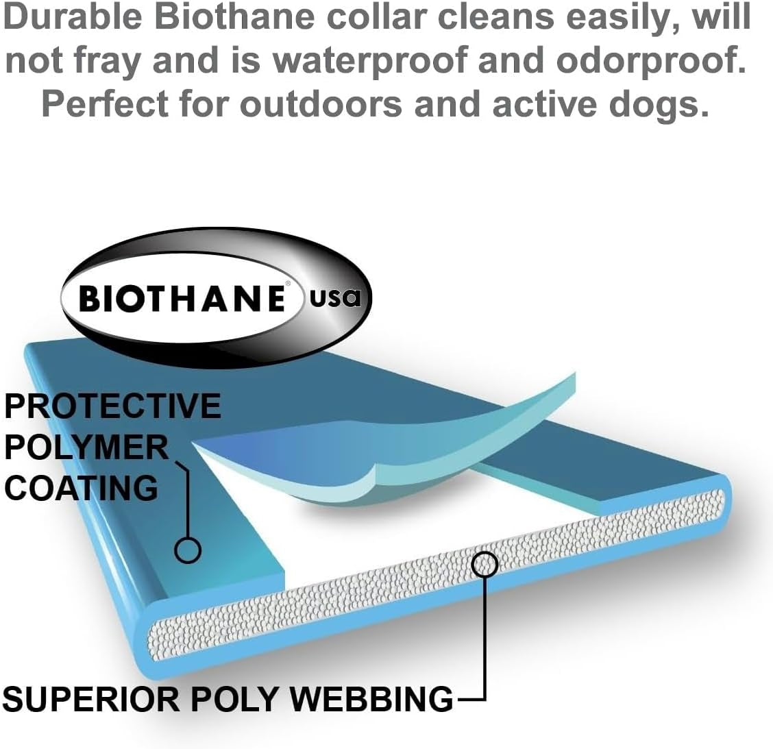 E-Collar Dog Training Collar – Humane Remote Trainer with Finger Clicker, Tone & Light, 1/2 Mile Range