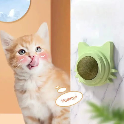 Rotating Catnip Lick Ball Toy – Wall-Mounted Natural Cat Treat Ball for Kittens & Cats, Interactive Dental & Enrichment Toy
