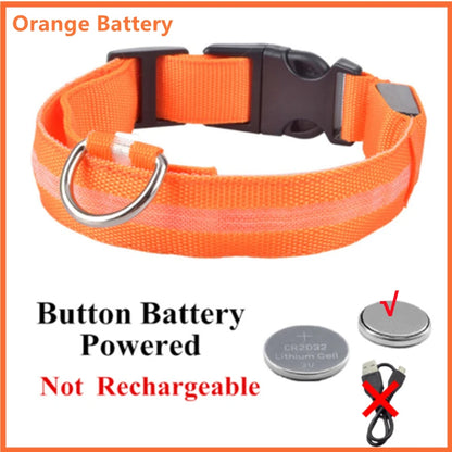 LED Glowing Dog Collar – USB Rechargeable or Battery powered, Adjustable Flashing Safety Collar for Night Walks