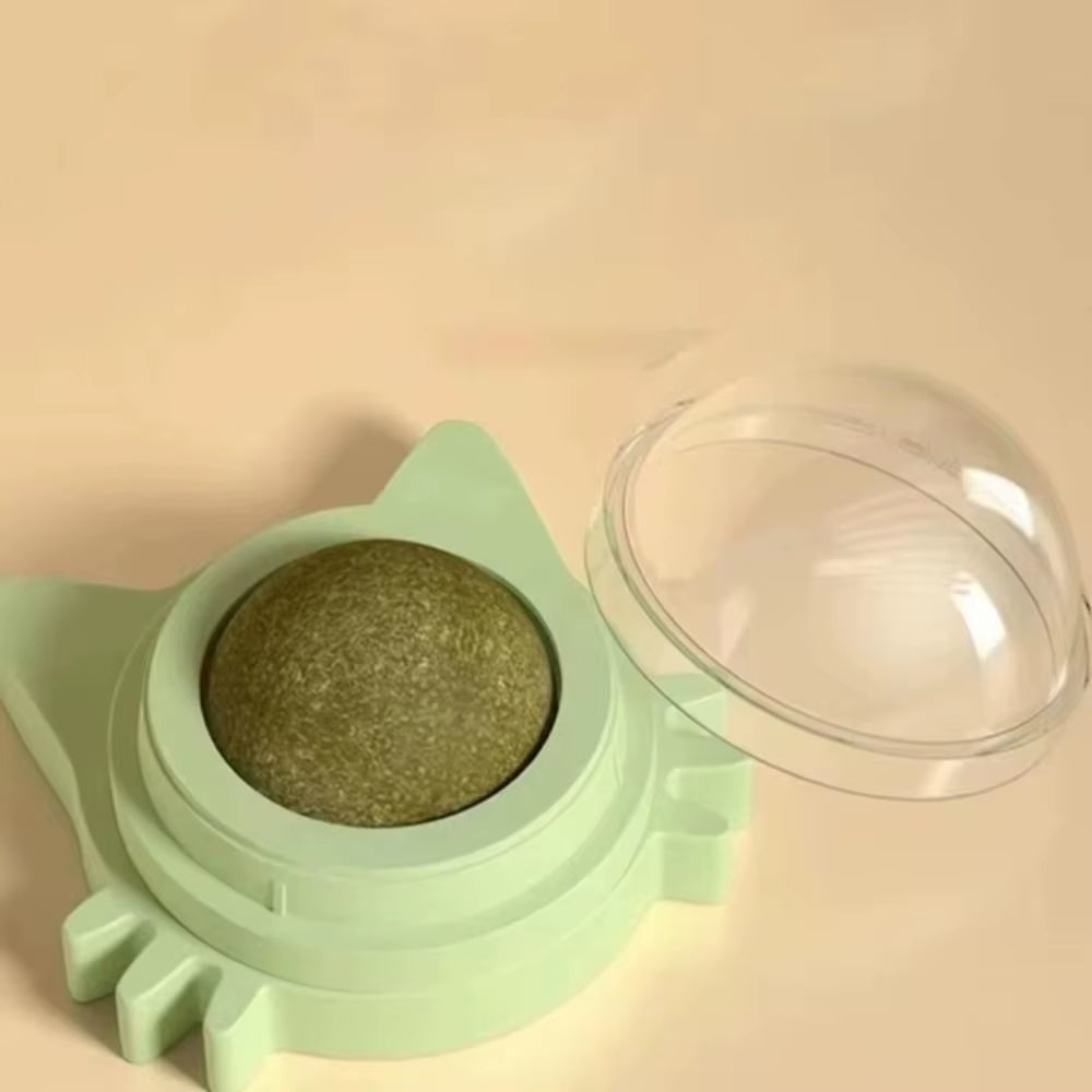 Rotating Catnip Lick Ball Toy – Wall-Mounted Natural Cat Treat Ball for Kittens & Cats, Interactive Dental & Enrichment Toy