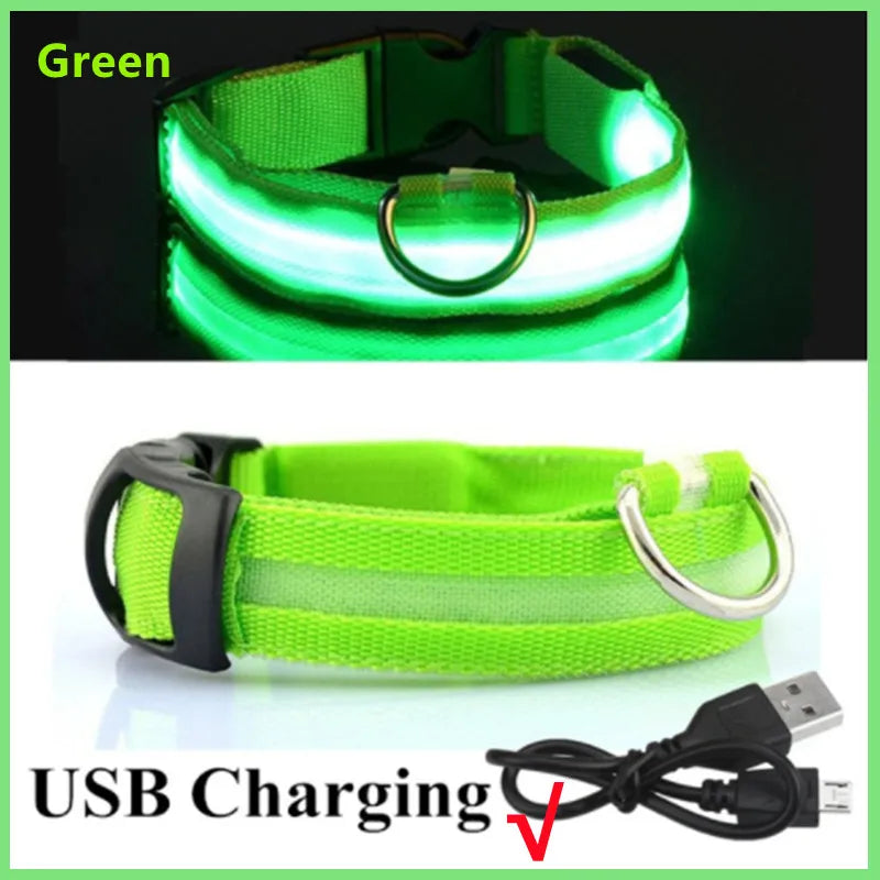 LED Glowing Dog Collar – USB Rechargeable or Battery powered, Adjustable Flashing Safety Collar for Night Walks