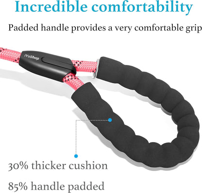 Durable Slip Lead Dog Leash with Padded Handle & Reflective Threads – No-Pull Training Leash for Dogs (3/8" x 6 FT)