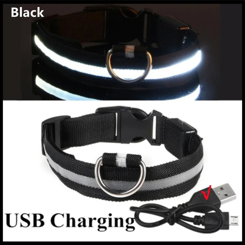 LED Glowing Dog Collar – USB Rechargeable or Battery powered, Adjustable Flashing Safety Collar for Night Walks