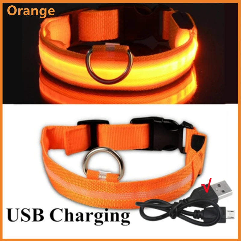 LED Glowing Dog Collar – USB Rechargeable or Battery powered, Adjustable Flashing Safety Collar for Night Walks