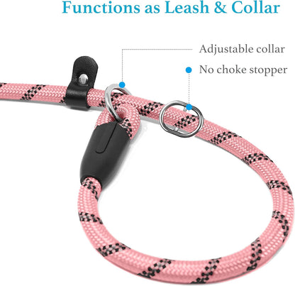 Durable Slip Lead Dog Leash with Padded Handle & Reflective Threads – No-Pull Training Leash for Dogs (3/8" x 6 FT)