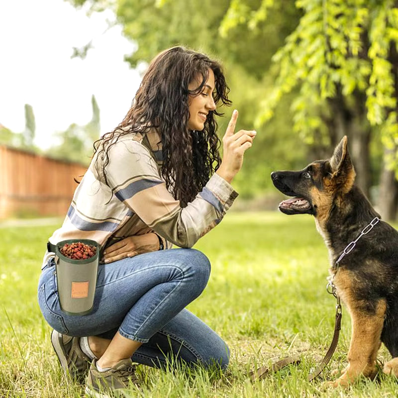 Dog Training Treat Bag – Large Capacity Reward Pouch with Waist Clip for Puppies & Dogs