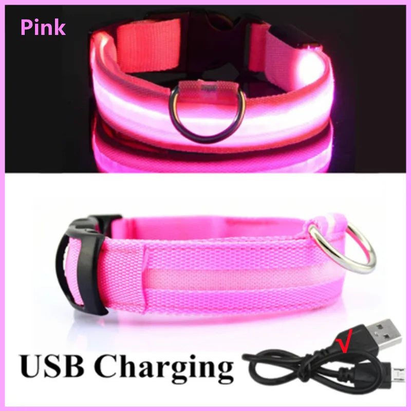 LED Glowing Dog Collar – USB Rechargeable or Battery powered, Adjustable Flashing Safety Collar for Night Walks