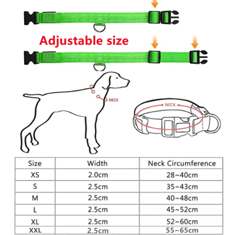 LED Glowing Dog Collar – USB Rechargeable or Battery powered, Adjustable Flashing Safety Collar for Night Walks