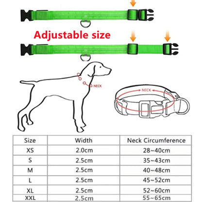 LED Glowing Dog Collar – USB Rechargeable or Battery powered, Adjustable Flashing Safety Collar for Night Walks