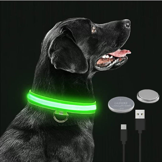 LED Glowing Dog Collar – USB Rechargeable or Battery powered, Adjustable Flashing Safety Collar for Night Walks