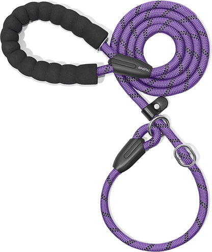 Durable Slip Lead Dog Leash with Padded Handle & Reflective Threads – No-Pull Training Leash for Dogs (3/8" x 6 FT)