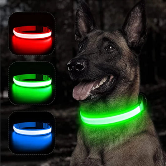 LED Glowing Dog Collar – USB Rechargeable or Battery powered, Adjustable Flashing Safety Collar for Night Walks